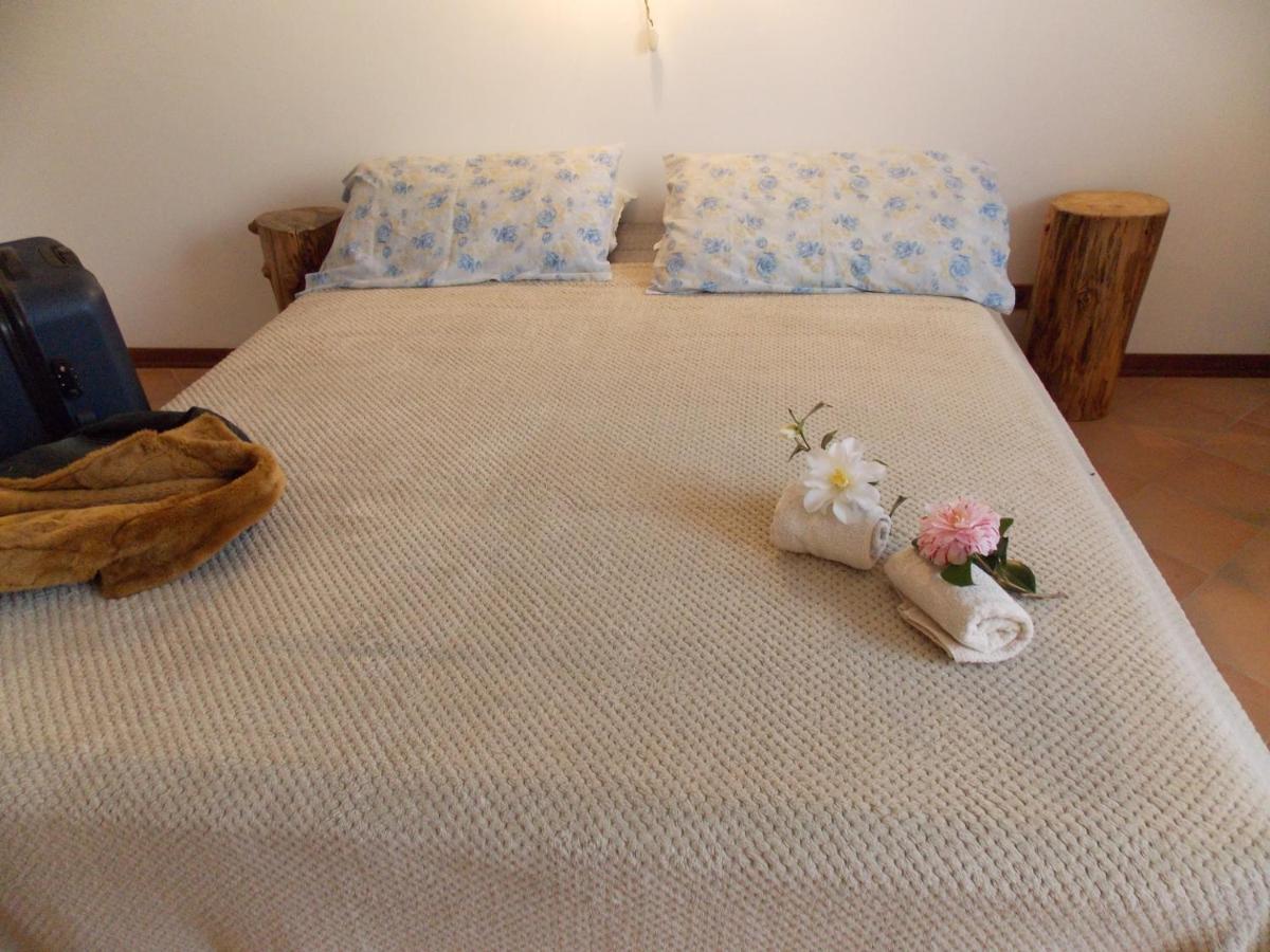 Bed and Breakfast Antica Dimora Del Portico à Borgiallo Extérieur photo